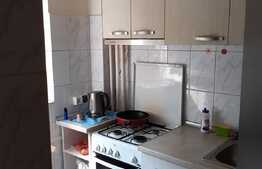 Garsoniera 28 mp, semidecomandata, parter, Piata Delfinului