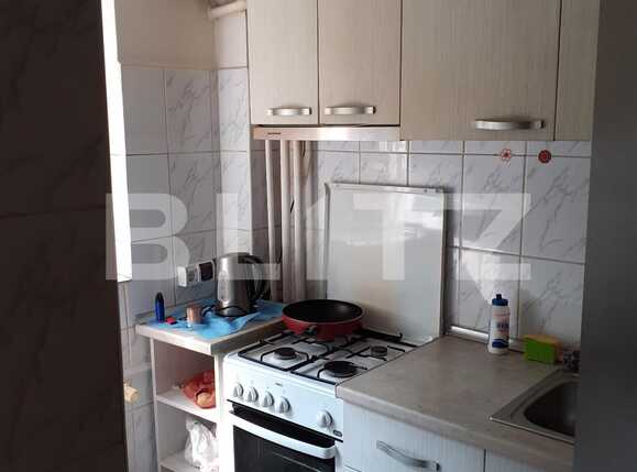 Garsoniera, Piata delfinului | Poza4