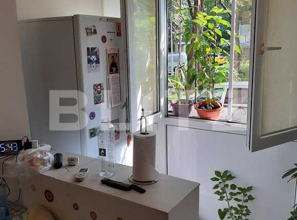 Garsoniera, Piata delfinului | Poza6