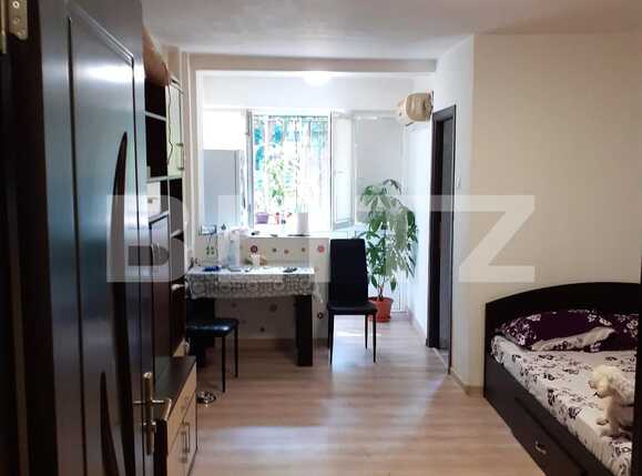 Garsoniera, Piata delfinului | Poza1