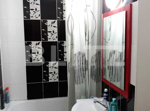 Garsoniera, Piata delfinului | Poza5