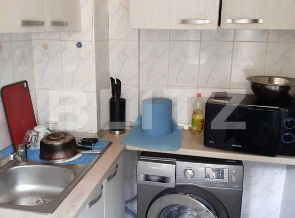 Garsoniera, Piata delfinului | Poza3