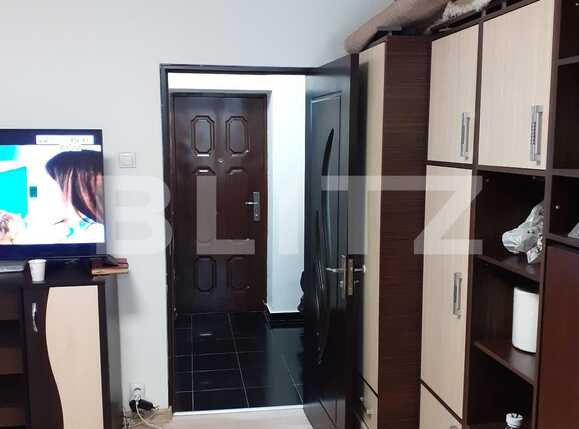 Garsoniera, Piata delfinului | Poza2