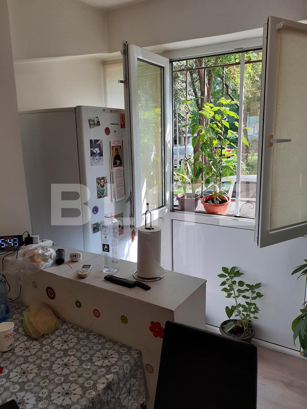 Garsoniera, Piata delfinului | Poza6