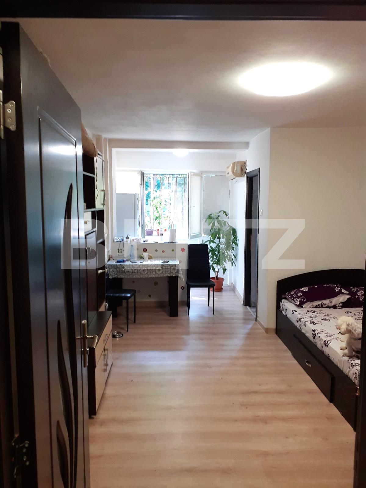 Garsoniera, Piata delfinului | Poza1