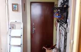 Apartament de 2 camere, decomandat, 47 mp, zona Teiul Doamnei