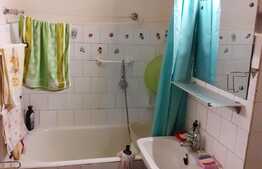 Apartament de 2 camere, decomandat, 47 mp, zona Teiul Doamnei