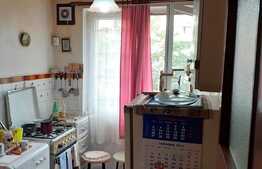 Apartament de 2 camere, decomandat, 47 mp, zona Teiul Doamnei