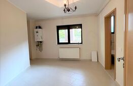 Apartament de 2 camere, 38 mp, Dristor