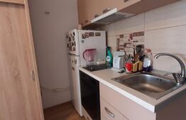 Garsoniera, etaj intermediar, Auchan Vitan 