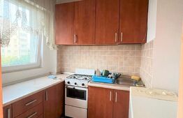 Garsoniera, 27 mp, etaj intermediar, Dristor