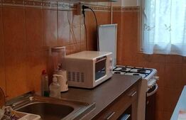 Apartament 2 camere, 36 mp, etaj intermediar, Tei