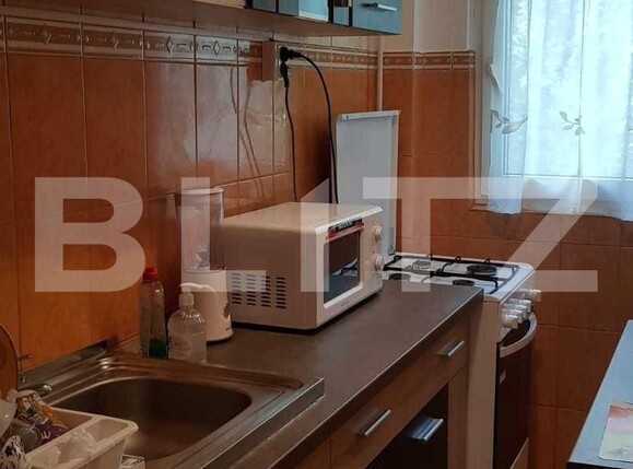 Apartament 2 camere, Iancului, Tei | Poza4