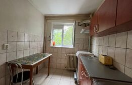 Apartament de 2 camere, 50 mp, zona 1 Decembrie 