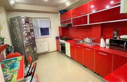 Apartament de 2 camere, 49 mp, Dristor