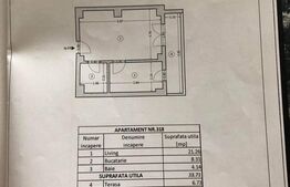 Apartament 1 camera, 41 mp, etaj intermediar, zona Parcul Carol