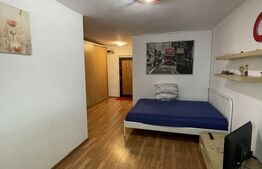 Apartament 1 camera, 35 mp, etaj intermediar, zona Tineretului