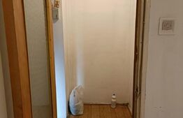 Apartament 1 camera, 31 mp, etaj intermediar, zona Tineretului 