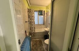 Apartament 1 camera, 42 mp, decomandat, zona Liviu Rebreanu