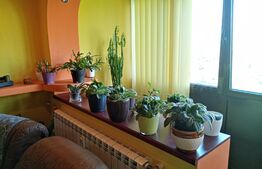 Apartament 2 camere, 48 mp, zona Pajura