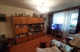 Apartament 2 camere, 52 mp, etaj intermediar, zona Tineretului