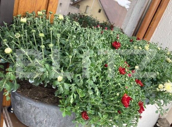 Apartament de vânzare 2 camere Bucurestii Noi - 96541AV | BLITZ București | Poza3