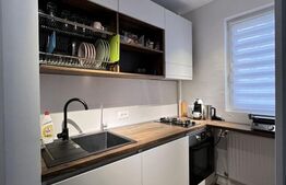 Garsoniera 30 mp, mobilat/utilat, zona Nicolae Grigorescu