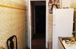 Apartament 2 camere, 44 mp, etaj intermediar, zona Baba Novac