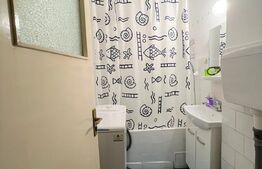 Garsoniera, 30 mp, etaj intermediar, Dristor