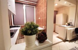 Garsoniera de 30 mp, mobilata si utilata, zona Bucur Obor