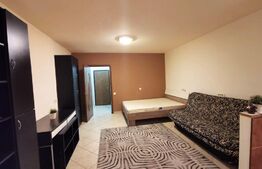 Garsoniera de 30 mp, mobilata si utilata, zona Bucur Obor