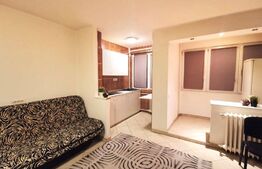 Garsoniera de 30 mp, mobilata si utilata, zona Bucur Obor