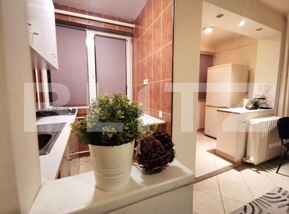 Garsoniera, Ferdinand | Poza4