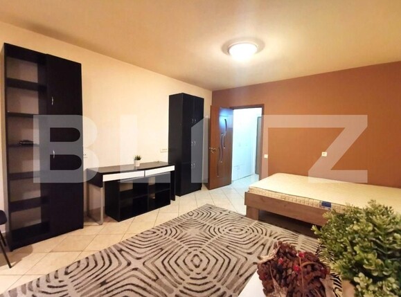 Garsoniera, Ferdinand | Poza6