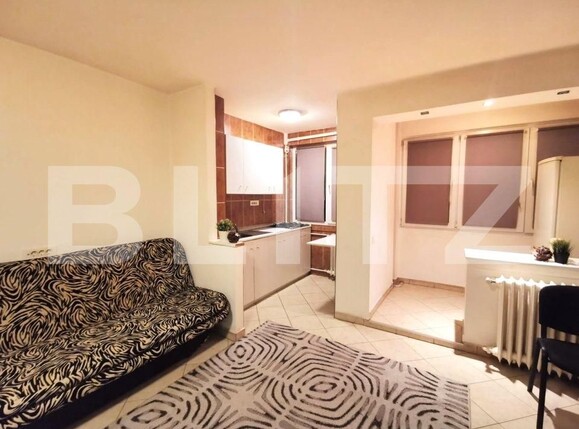 Garsoniera, Ferdinand | Poza2