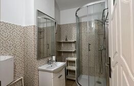 Garsoniera, 30 mp, etaj intermediar, Dristor, cu chirias