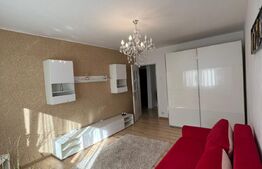 Garsoniera, 30 mp, etaj intermediar, Dristor, cu chirias