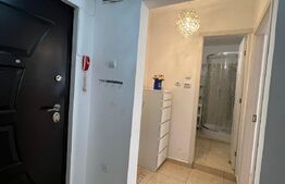 Garsoniera, 30 mp, etaj intermediar, Dristor, cu chirias