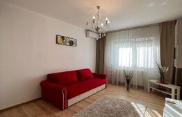 Garsoniera, 30 mp, etaj intermediar, Dristor, cu chirias