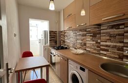 Garsoniera, 30 mp, etaj intermediar, Dristor, cu chirias