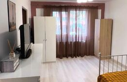 Garsoniera 25 mp, semidecomandata, etaj intermediar, Tei