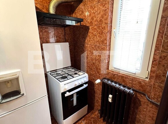 Garsoniera, Tei | Poza6