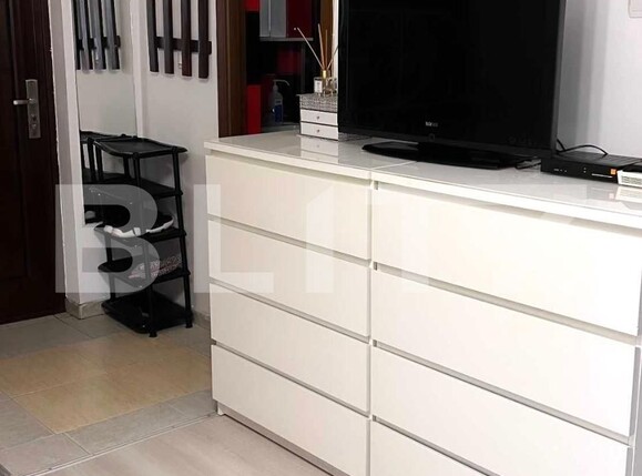 Garsoniera, Tei | Poza4