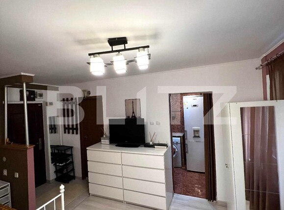 Garsoniera, Tei | Poza1