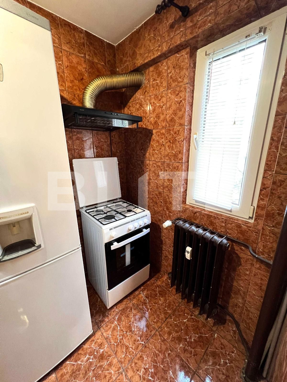 Garsoniera, Tei | Poza6