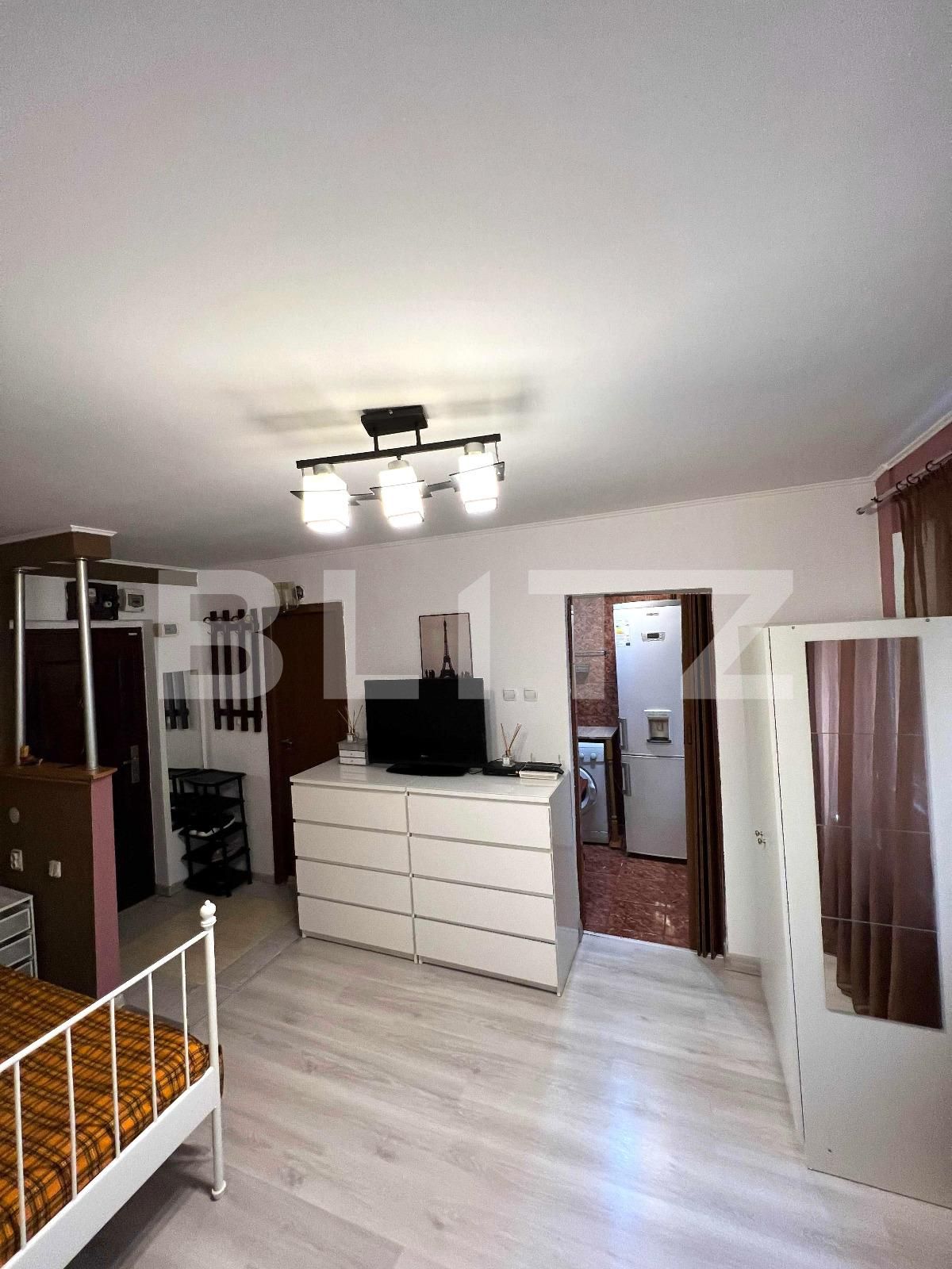 Garsoniera, Tei | Poza1