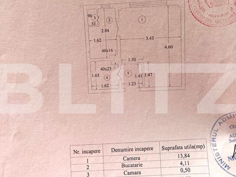 Garsoniera, Tei | Poza1