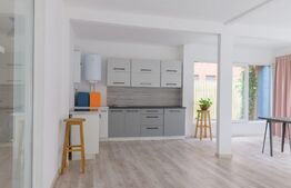 Casa cu 5 camere, 150mp, 250 mp teren, in zona Iancu Nicolae