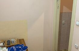 Apartament parizian de 3 camere, 75 mp, 3 balcoane, Radisson