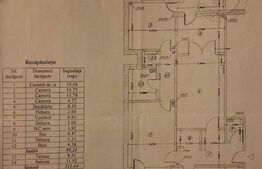 Apartament de 4 camere, 100 MP utili, in zona Dacia